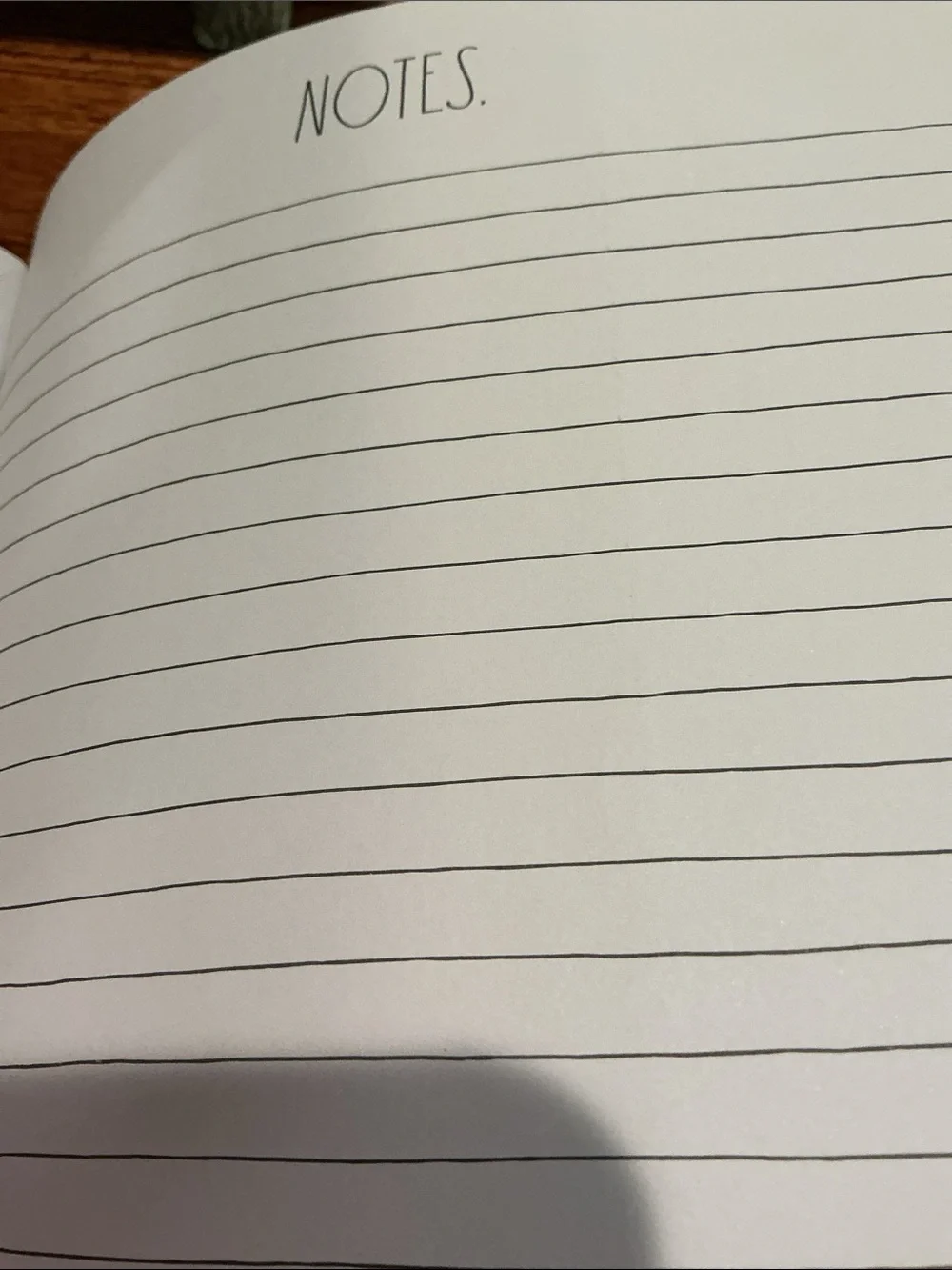 Rae Dunn Planner 2027